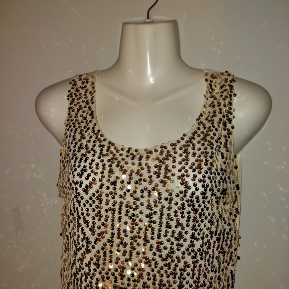 Sequined Sparkle Sheer Sleeveless Top - Picture 3 of 10